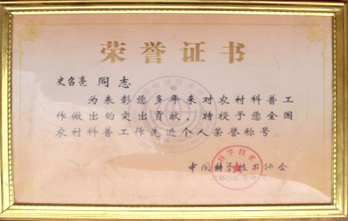 榮譽證書